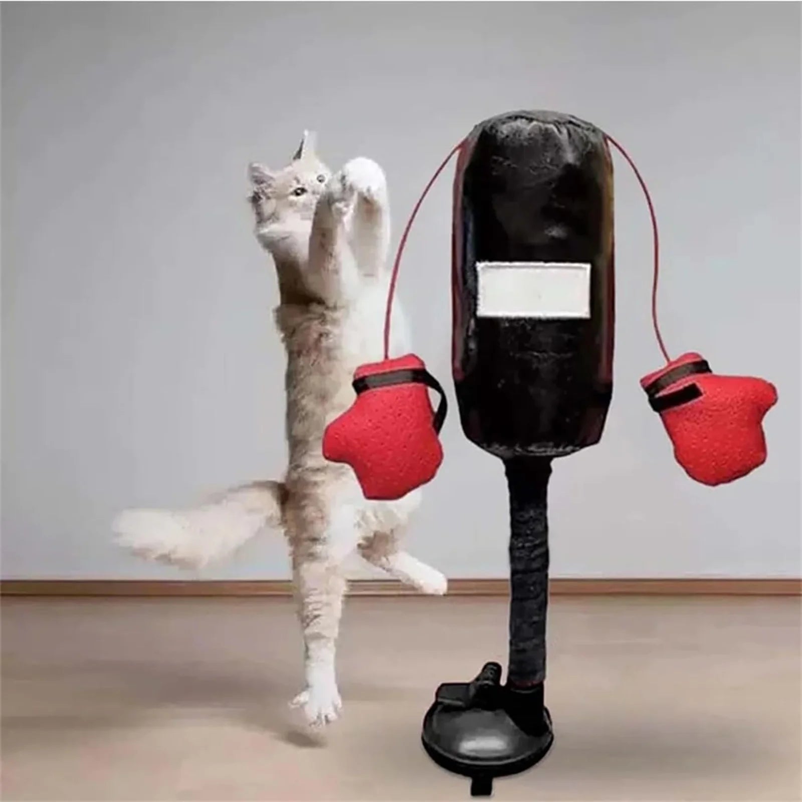 Mini Cat Punching Bag – Indoor Interactive Play Toy