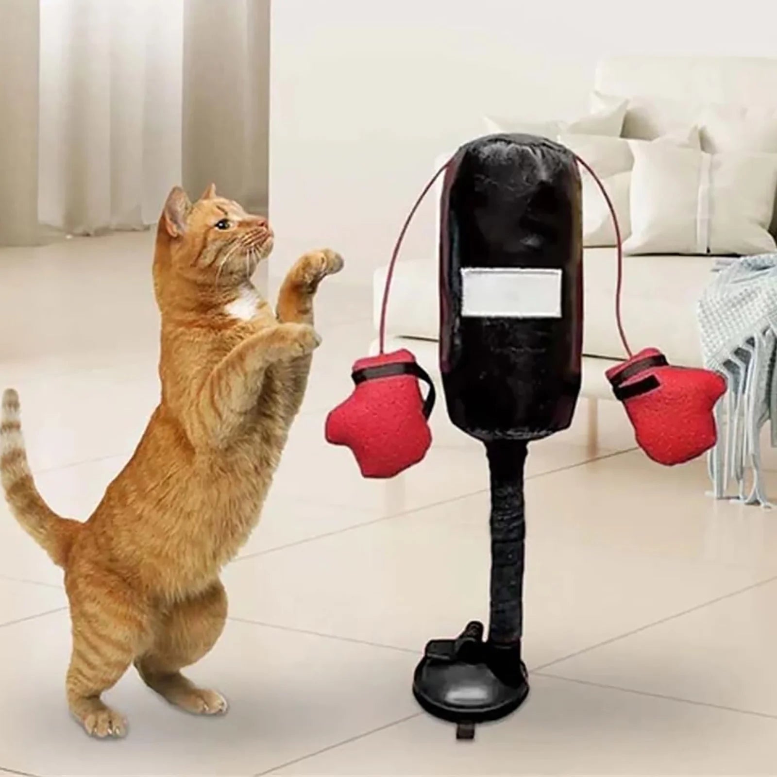 Mini Cat Punching Bag – Indoor Interactive Play Toy